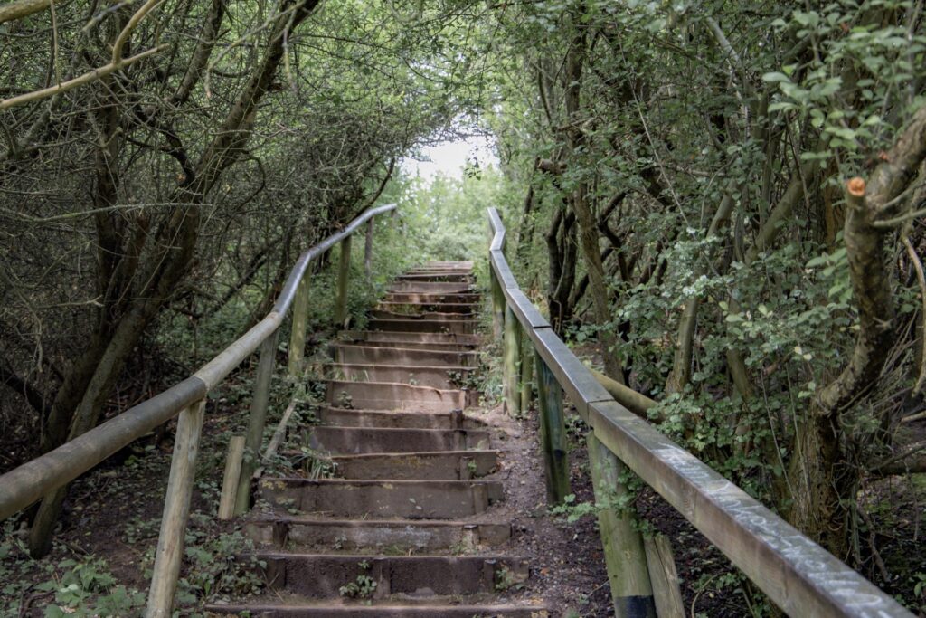 Eine verwitterte Holztreppe führt durch dichtes Gebüsch bergauf. Am Ende blitzt Licht durch die Zweige. Das Motiv symbolisiert den Weg zu Reife, Haltung und innerer Klarheit.