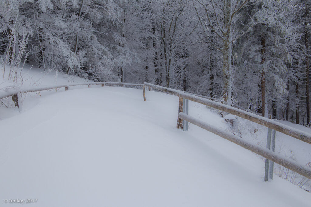 Verschneiter Weg im Winterwald, ohne Fußspuren, von einem hölzernen Geländer begleitet. Raureif bedeckt die Bäume, der Weg führt ruhig in die Tiefe des Waldes.