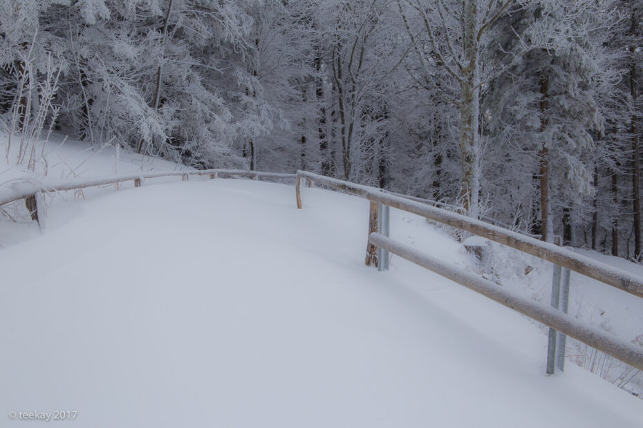 Verschneiter Weg im Winterwald, ohne Fußspuren, von einem hölzernen Geländer begleitet. Raureif bedeckt die Bäume, der Weg führt ruhig in die Tiefe des Waldes.